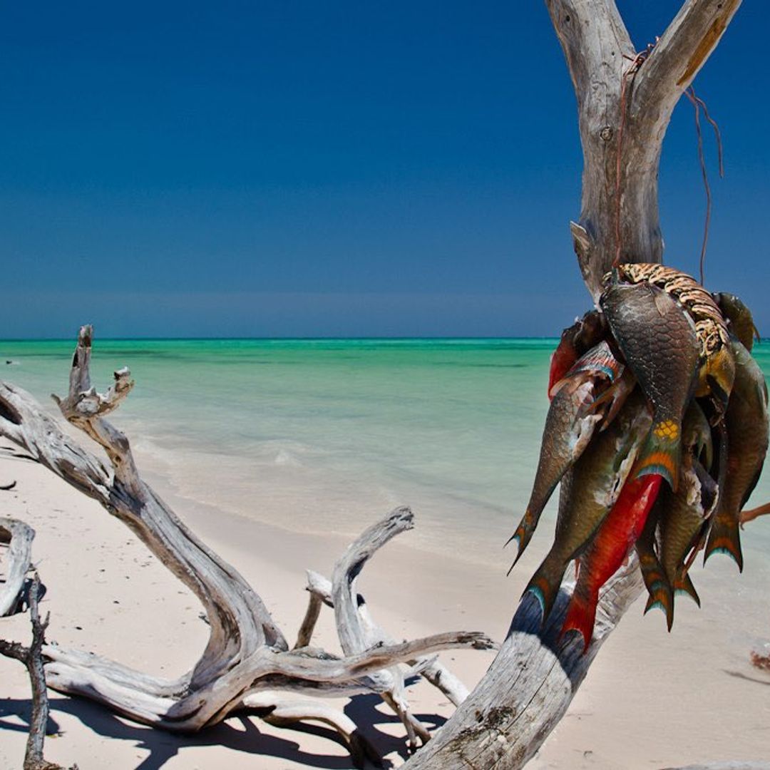Cayo Jutías beach panoramic view, Pinar del Río, Cuba.