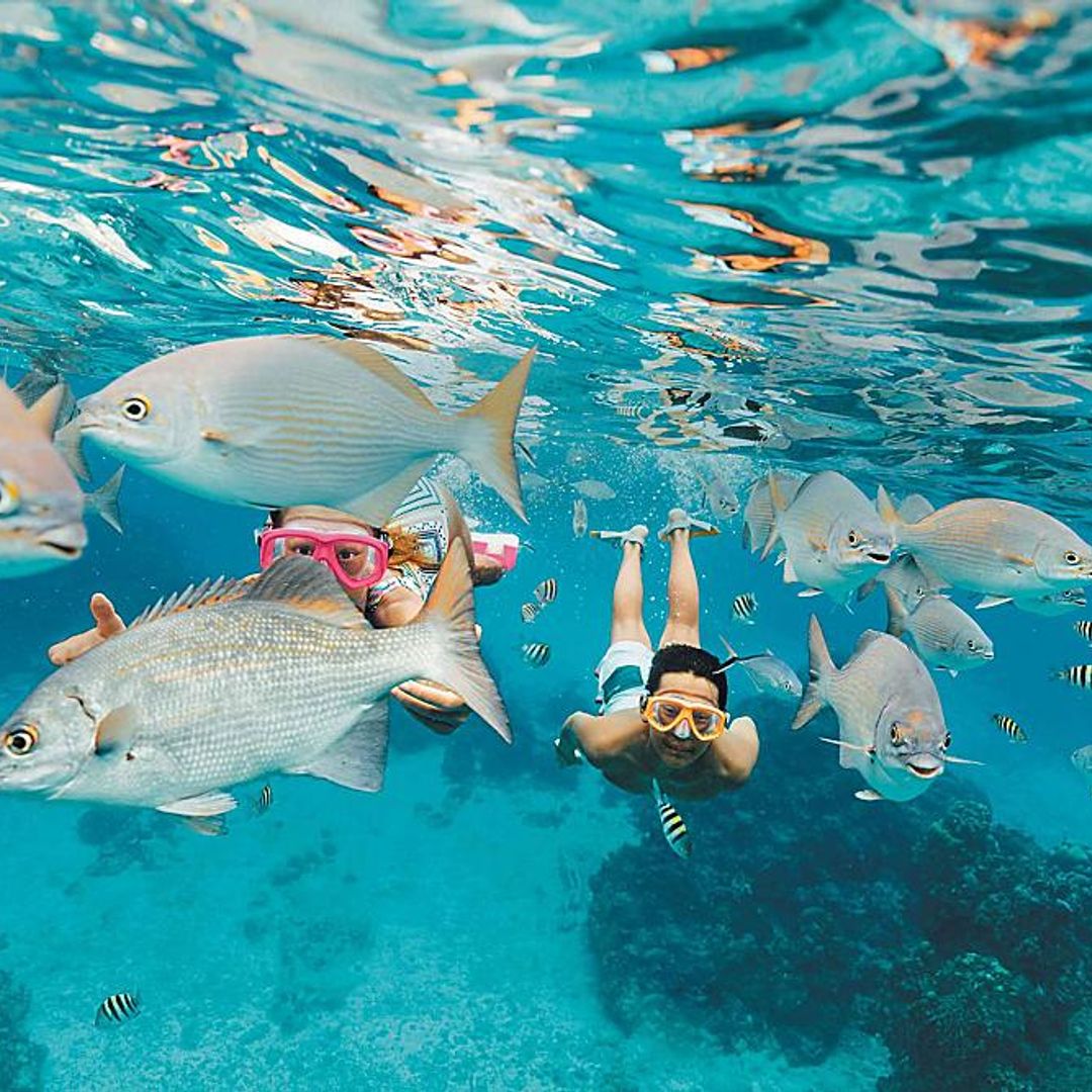 "Snorkeling in Cozumel" Tour