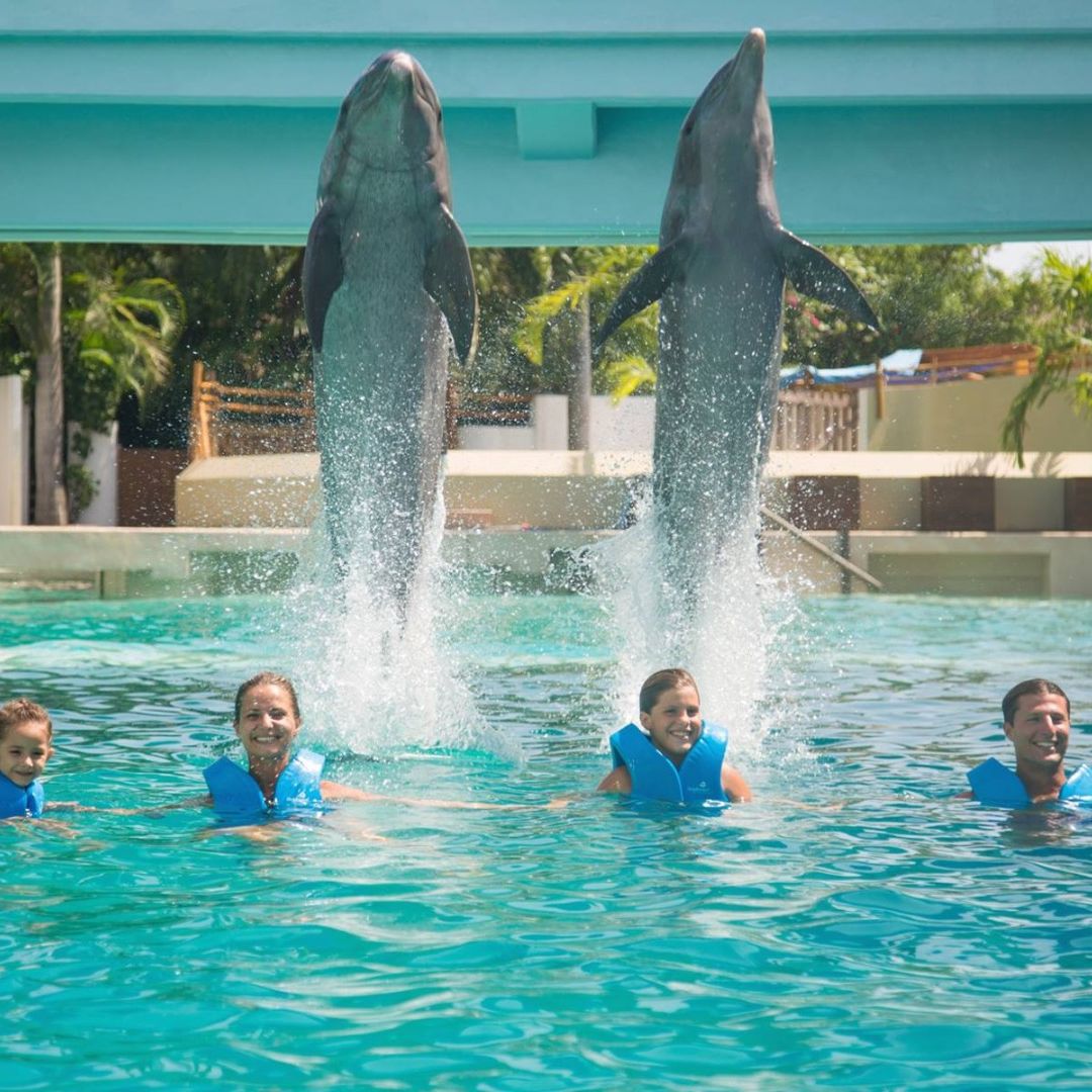 "Primax Dolphin in Cancún" Tour