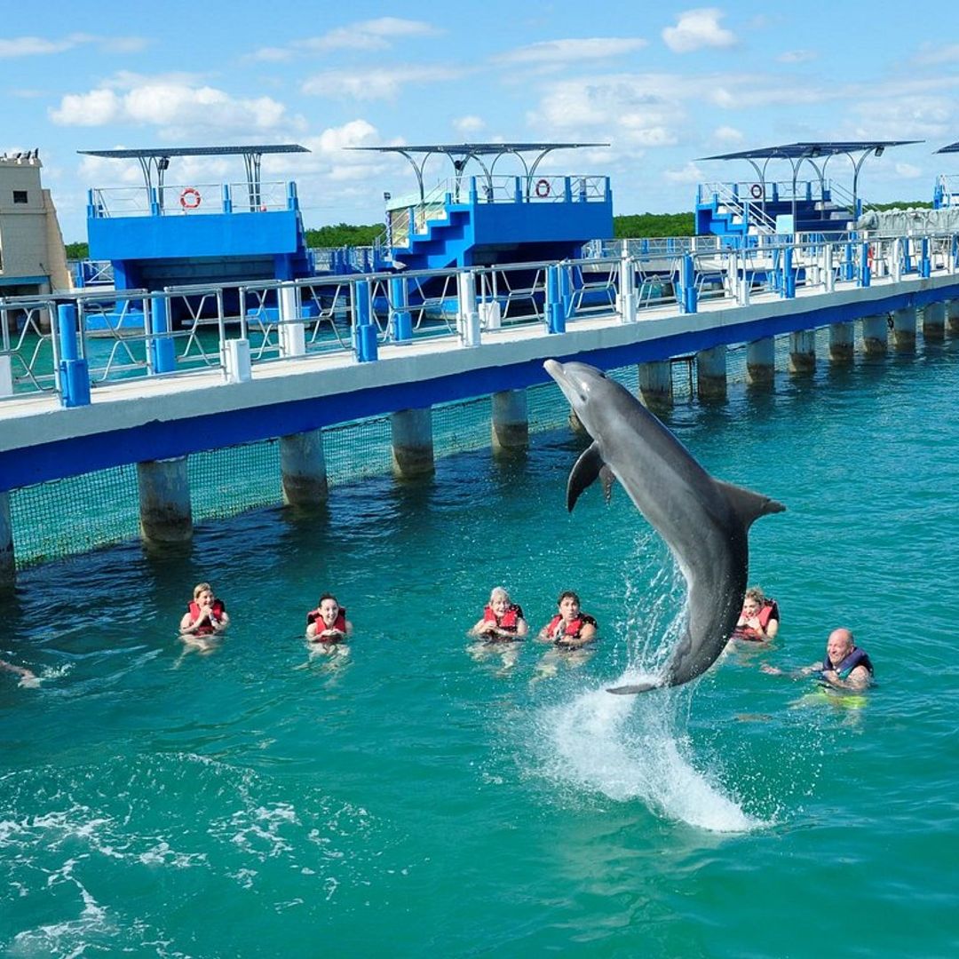 Dolphin show at Cayo Santa María dolphinarium, Cayo Santa María, Villa Clara, Cuba.