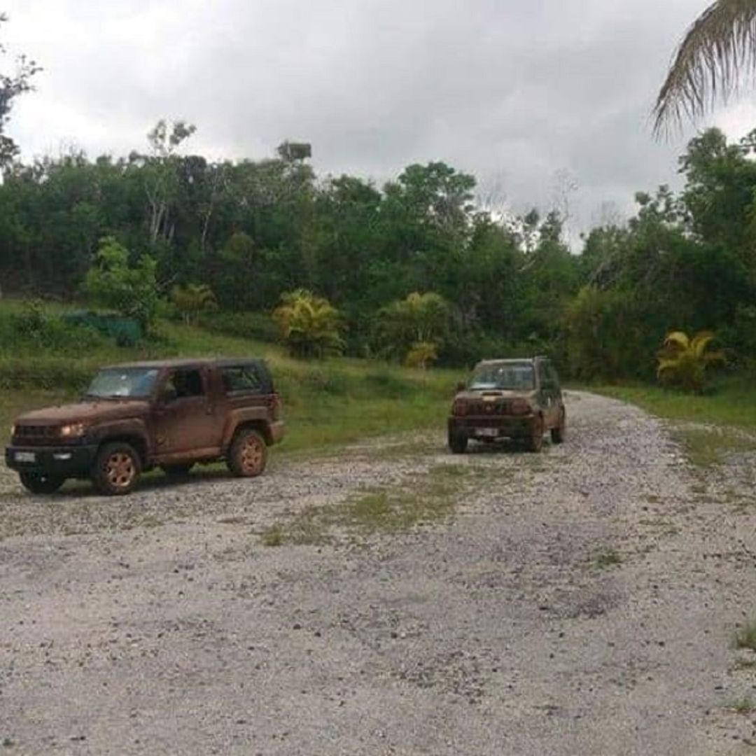 Jeep Safari "NATURE TOUR BIRD WATCHING IN CAYO COCO", Jardines del Rey, Ciego de Ávila, Cuba.
