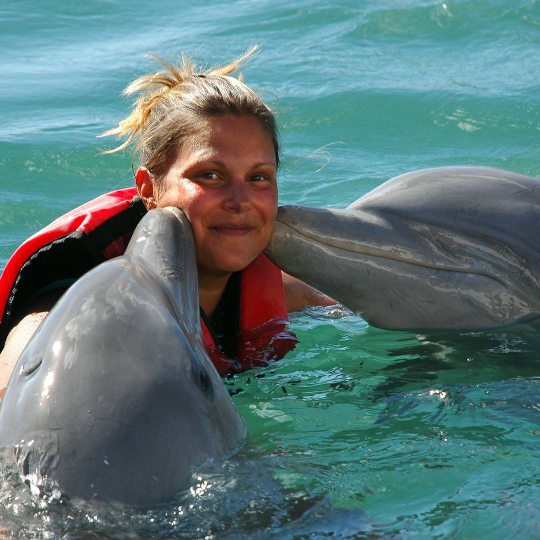 "FANTASY WITH DOLPHINS AND SEA LIONS" Tour, Cayo Santa María, Villa Clara, Cuba.