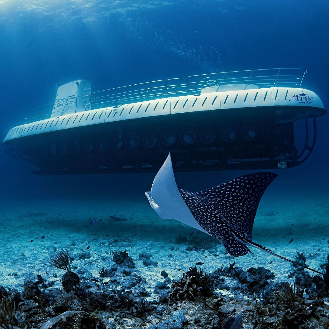 "Atlantis Submarine Cozumel" Tour
