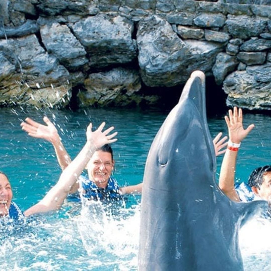 Swim with dolphins in Xel-Ha Park, a fun and exciting experience in Cancun, Yucatan Peninsula. Mexico.