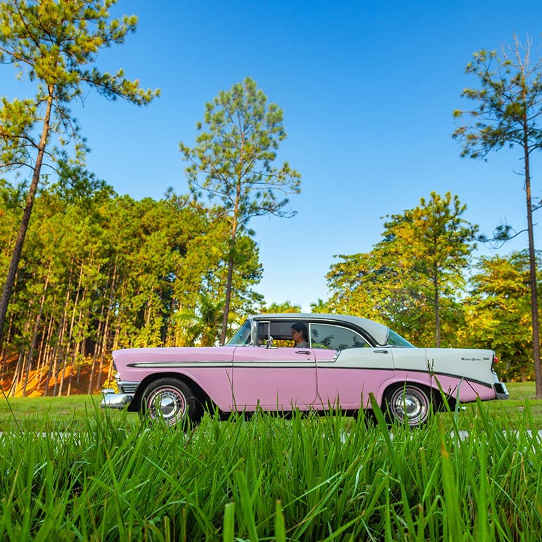 “LAS TERRAZAS IN AMERICAN CLASSIC CARS (HARD TOP - OPEN TOP)" Private Tour