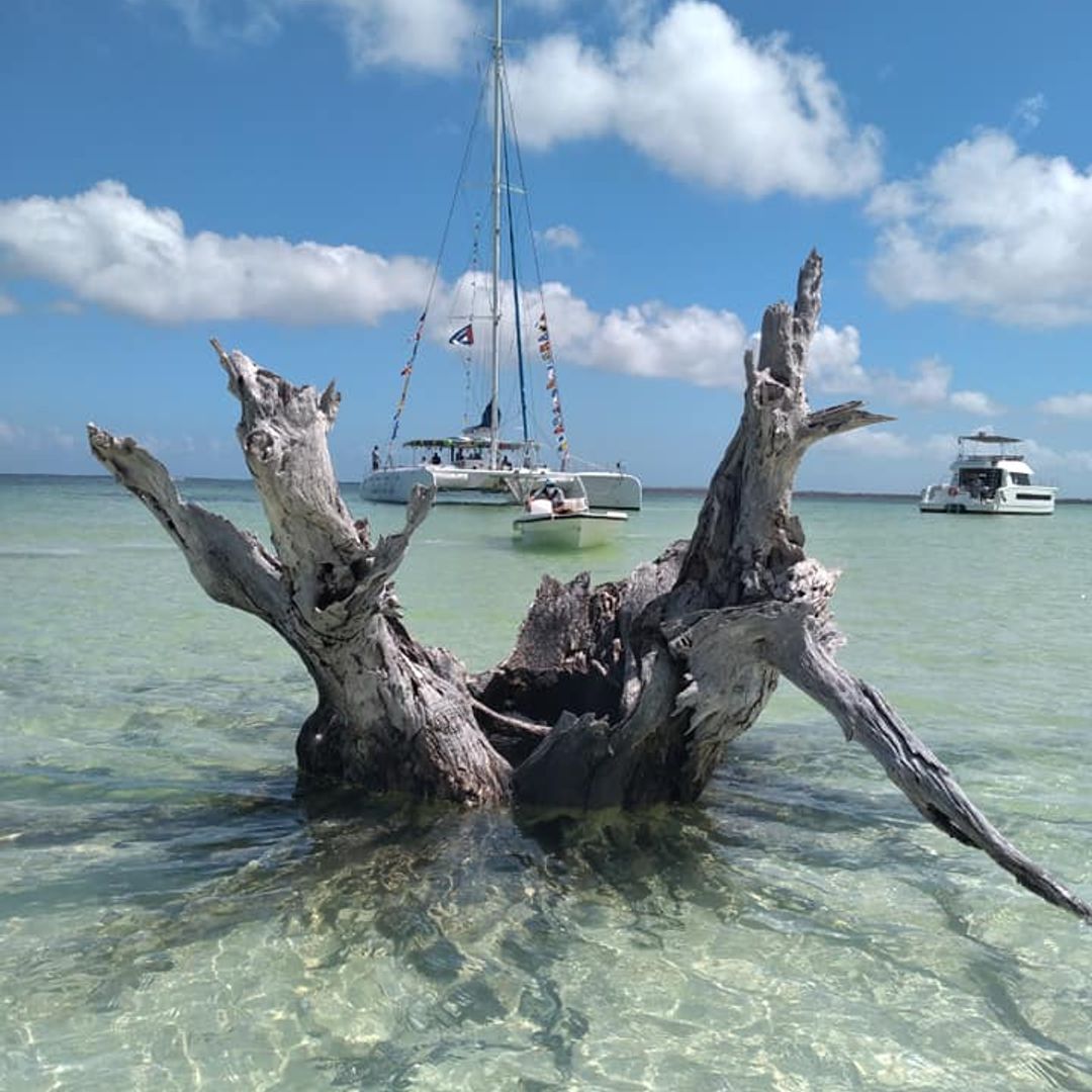 "SEAFARI CRUCERO DEL SOL" Tour, Cayo Santa María, Villa Clara, Cuba.