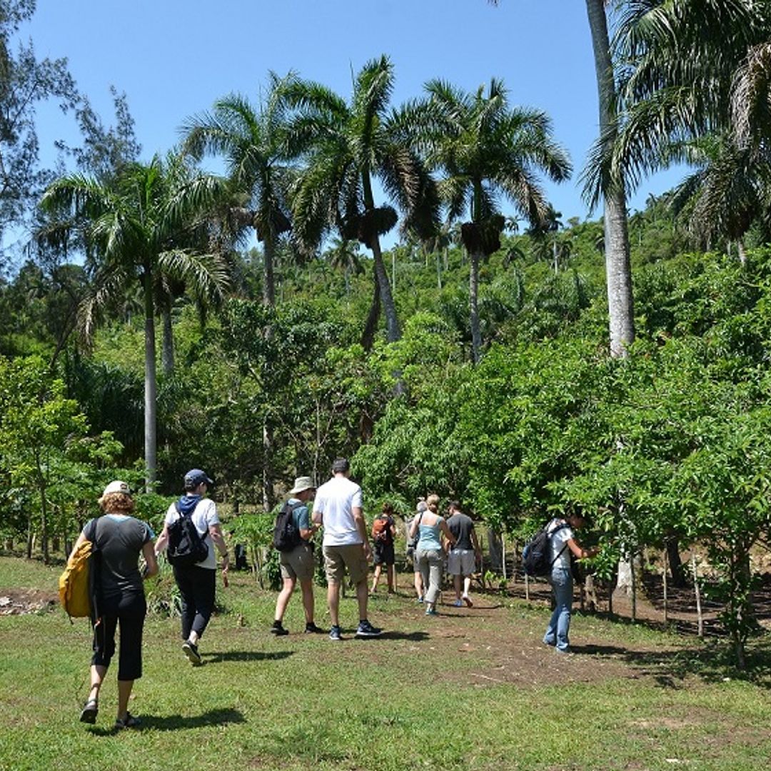 "Sendero el contento" tour, Las Terrazas. Artemisa, Cuba.