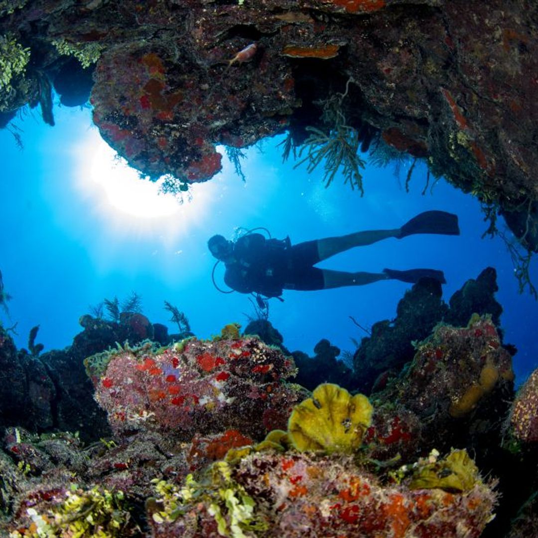 “Scuba Diving Tour in Cayo Largo del Sur”