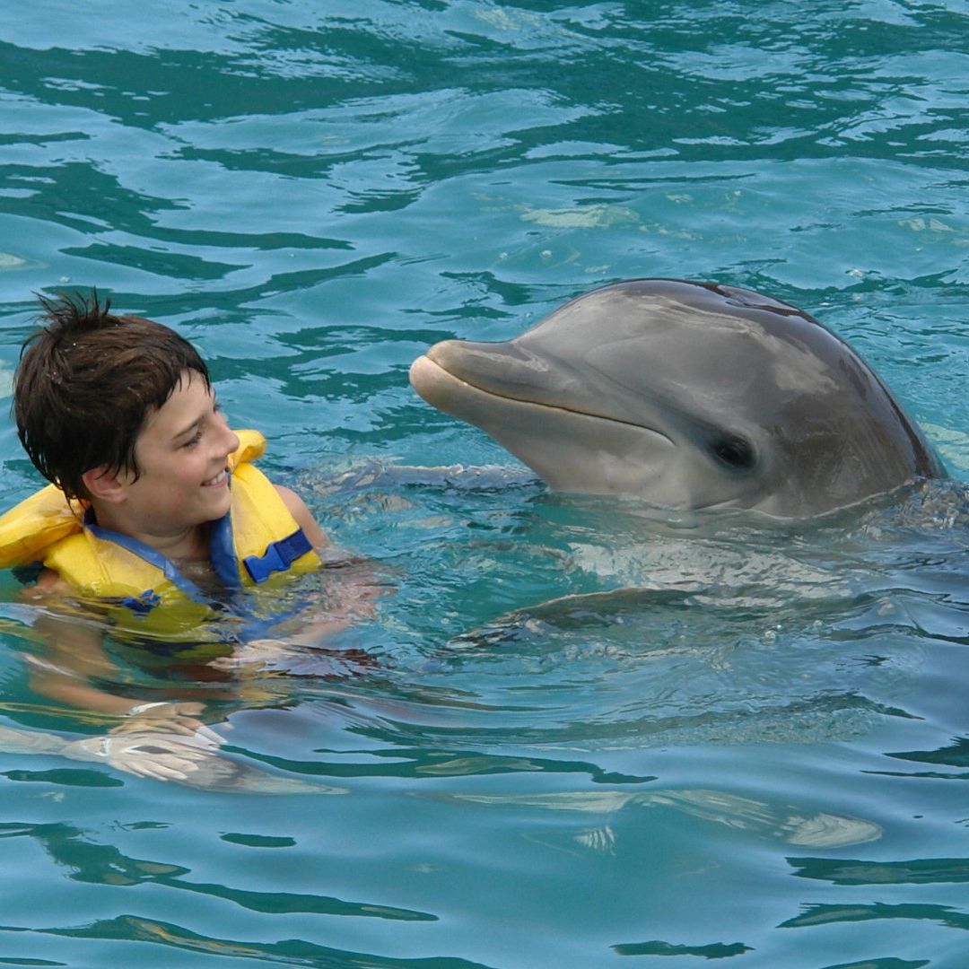 Swimming with dolphins tour at Bahía de Naranjo dolphinarium, Playa Esmeralda, Holguín, Cuba.