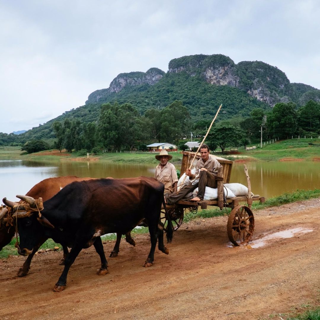 The tobacco farmers, traditions and customs, Viñales valley