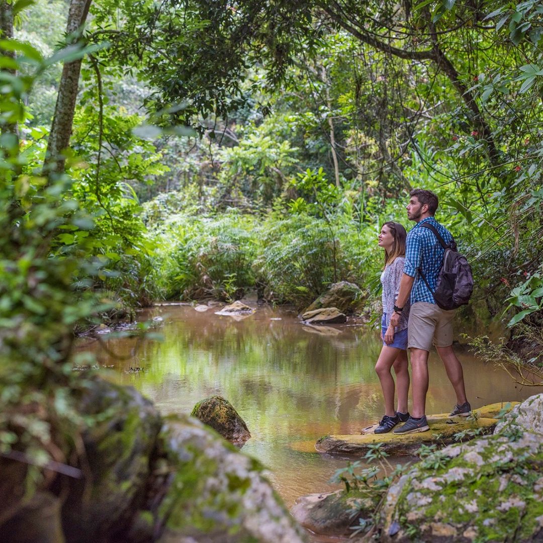 Salto del Caburní trail, Caburní Natural Park, Topes de Collantes, Cuba.