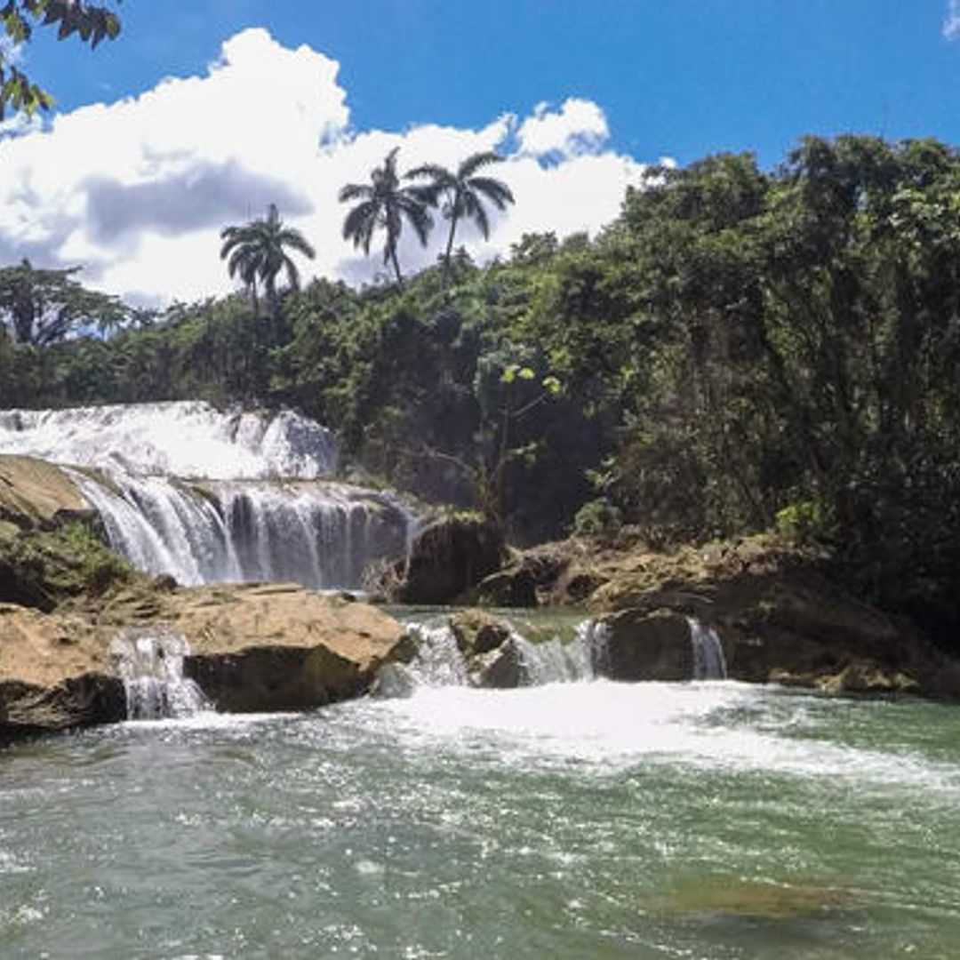 "Nature Tour Nicho-Trinidad in American Classic Car"