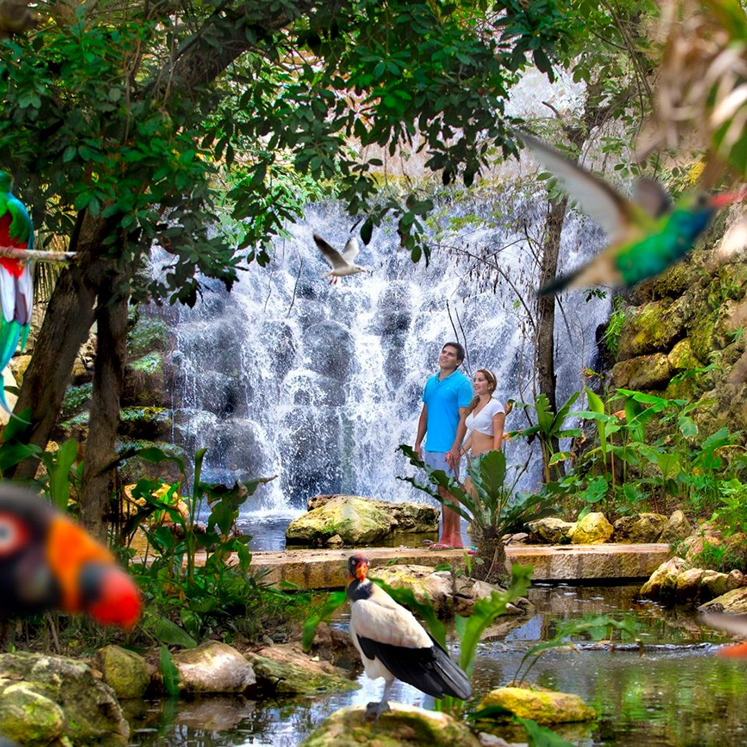 Xcaret Park, a place to have fun with its attractive attractions. Yucatan Peninsula, Mexico.