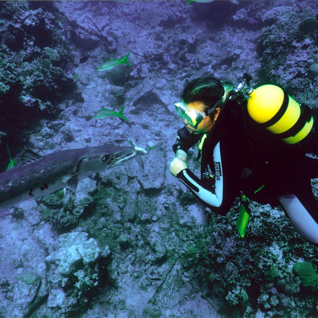 Scuba diving tour in Holguín