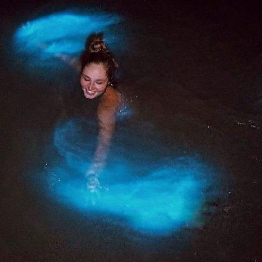 "RÍO LAGARTOS BIOLUMINESCENCE EXPERIENCE" Tour, Río Lagartos, Yucatán, Mexico. 