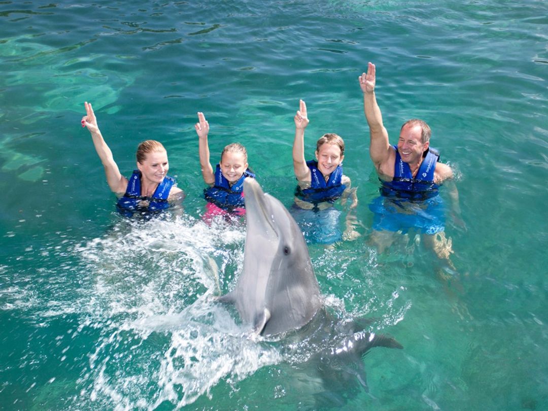 "Primax Dolphin in Riviera Maya" Tour
