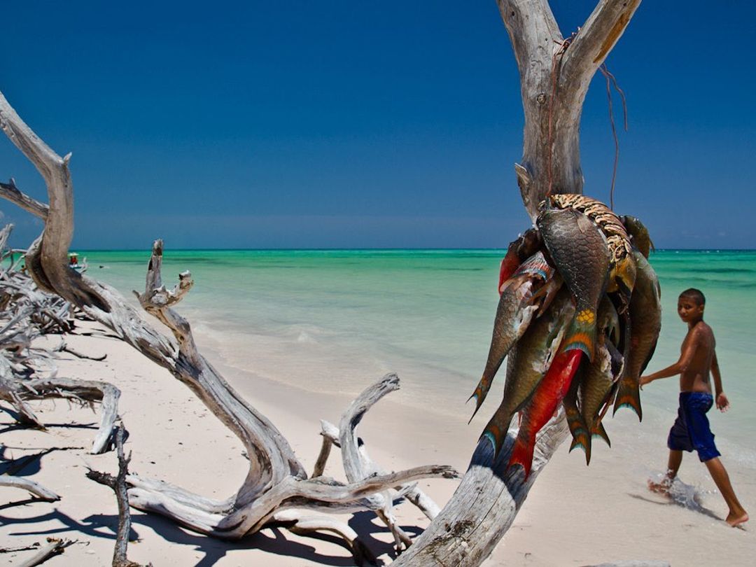 Cayo Jutías beach panoramic view, Pinar del Río, Cuba.