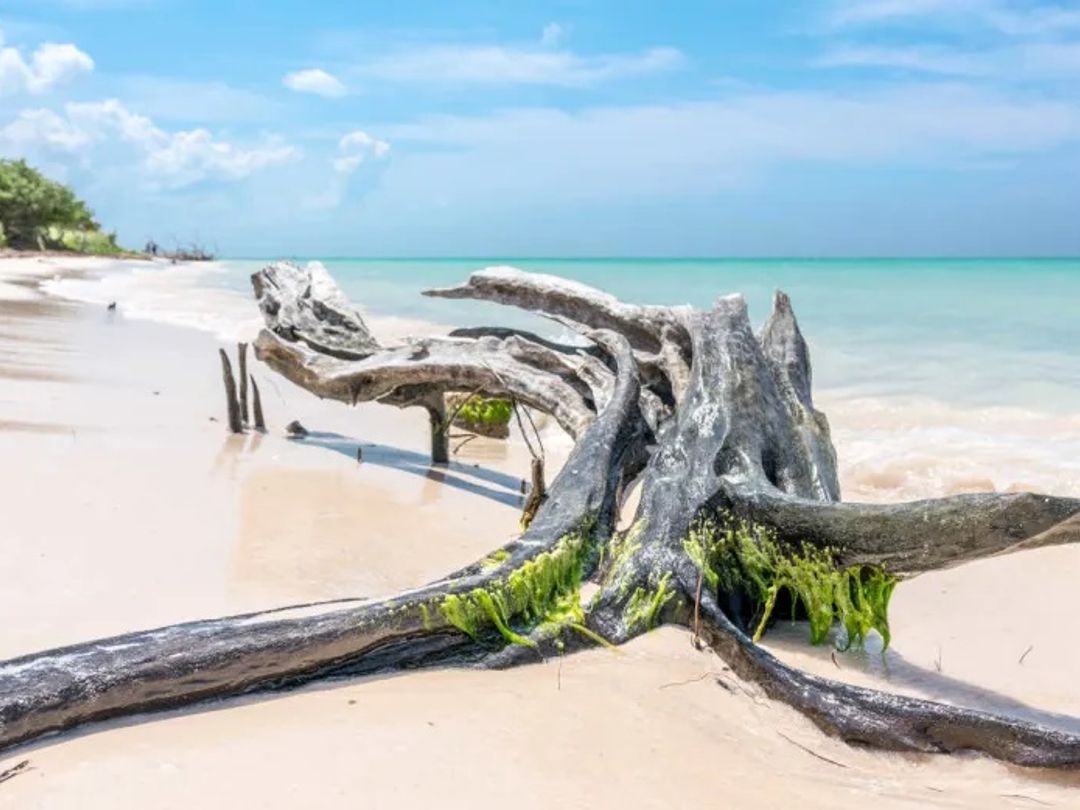 Cayo Jutías panoramic view, Pinar del Río, Cuba.