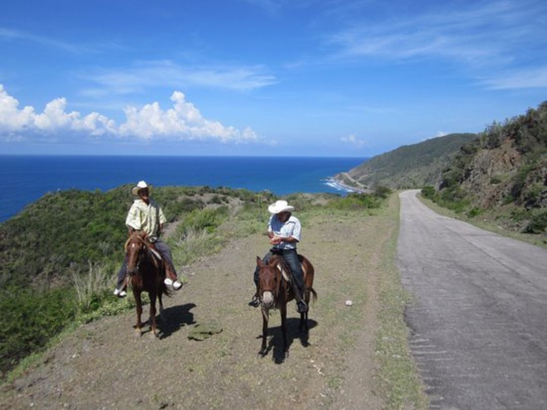 Excursión "PASEO A CABALLO EN MAREA DEL PORTILLO"