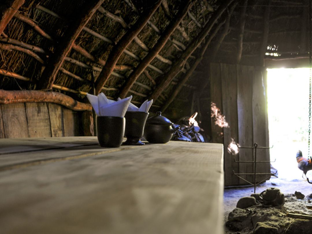 “MAPUCHE CULTURAL EXPERIENCE" Tour