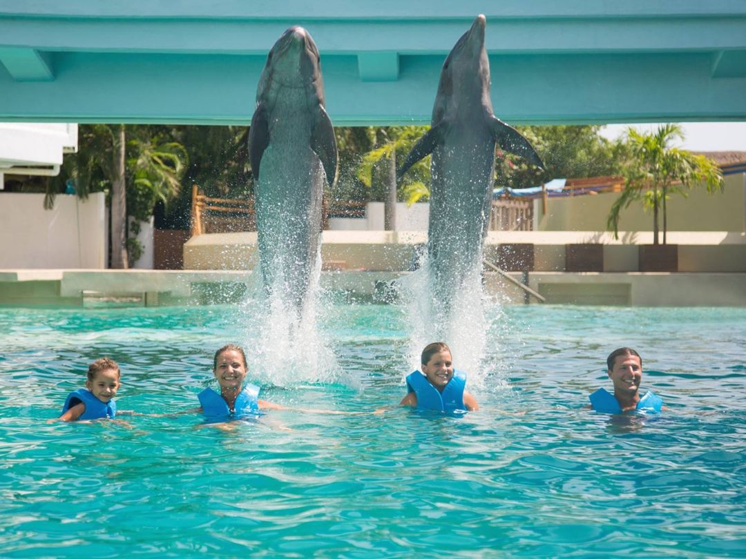 "Primax Dolphin in Cancún" Tour