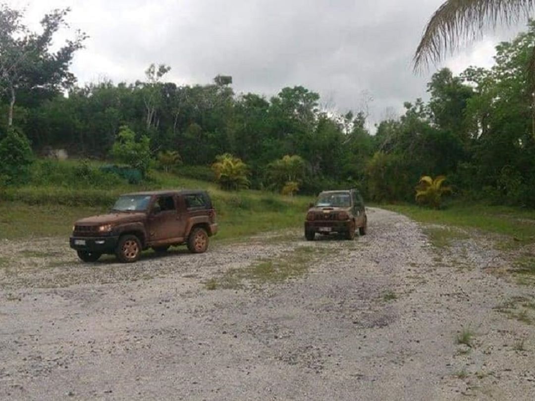 Jeep Safari "NATURE TOUR BIRD WATCHING IN CAYO COCO", Jardines del Rey, Ciego de Ávila, Cuba.