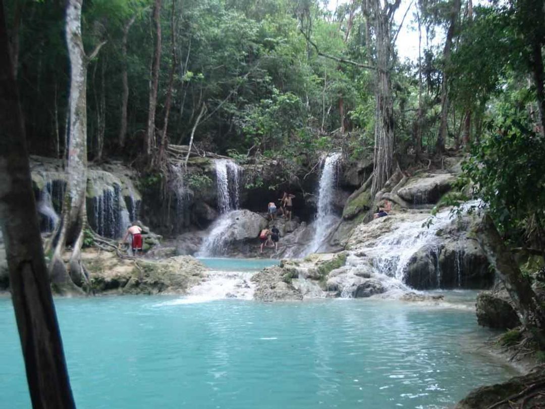 Jobo Rosado" Protected Area", Sactí Spíritus, Cuba.
