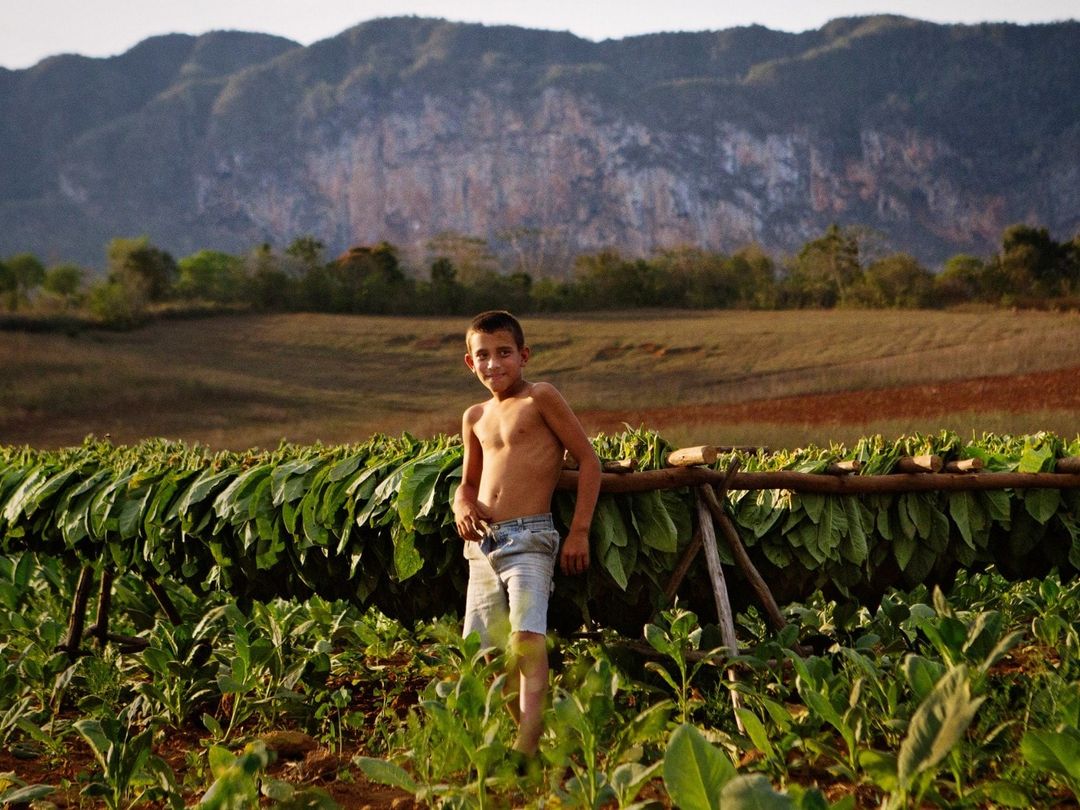 Traditions and customs, Viñales valley National Park, Pinar del Río