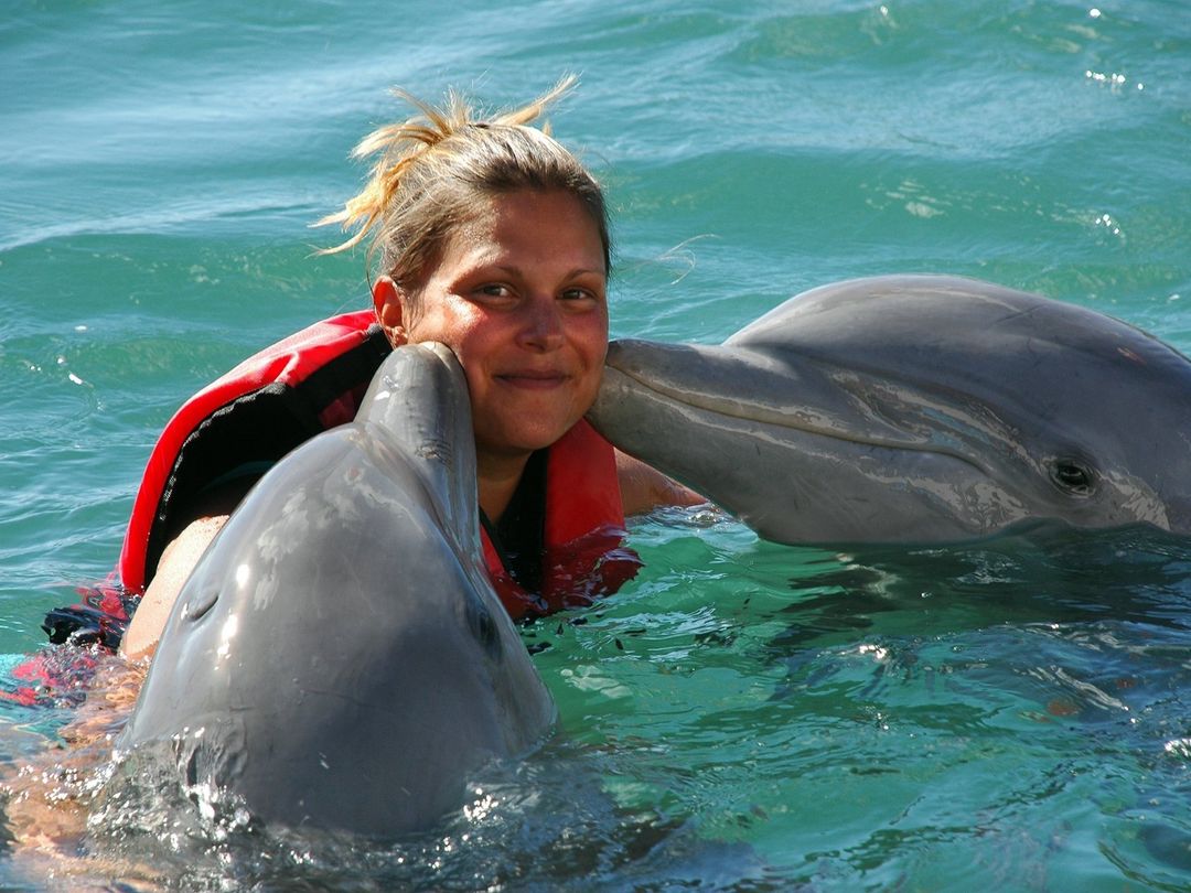 "FANTASY WITH DOLPHINS AND SEA LIONS" Tour, Cayo Santa María, Villa Clara, Cuba.