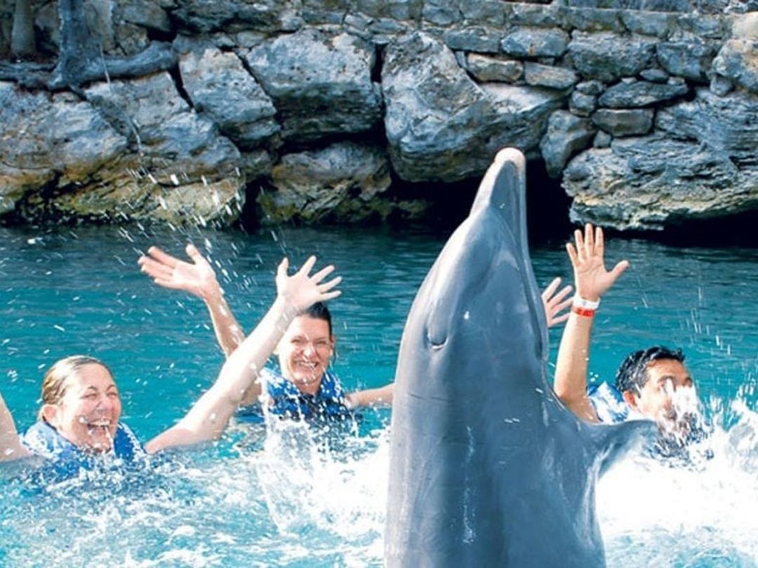 Swim with dolphins in Xel-Ha Park, a fun and exciting experience in Cancun, Yucatan Peninsula. Mexico.