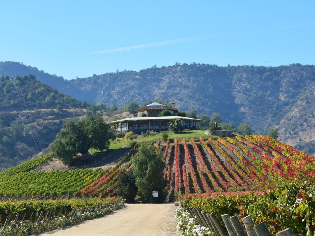 “SANTA CRUZ WINERY” Tour, Colchagua Valley, Chile.