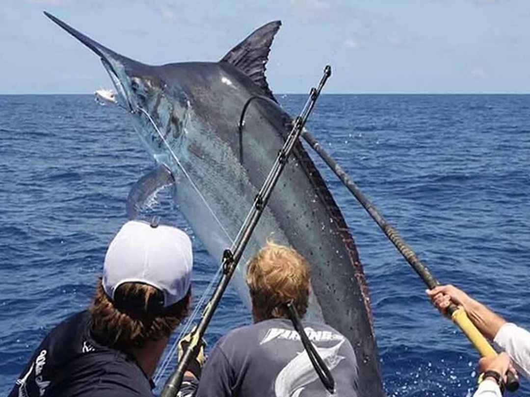 DEEP SEA FISHING IN PUNTA CANA, Dominican Republic.