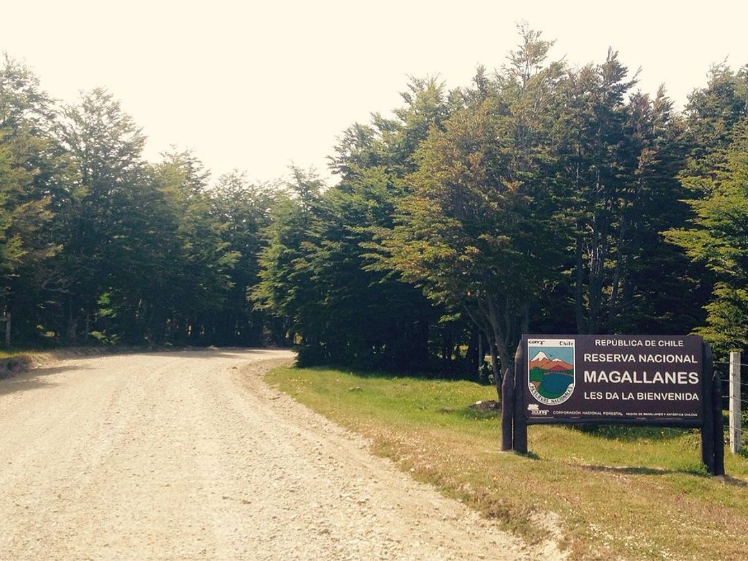 Excursión "MEDIO DÍA TREKKING RESERVA NACIONAL MAGALLANES"