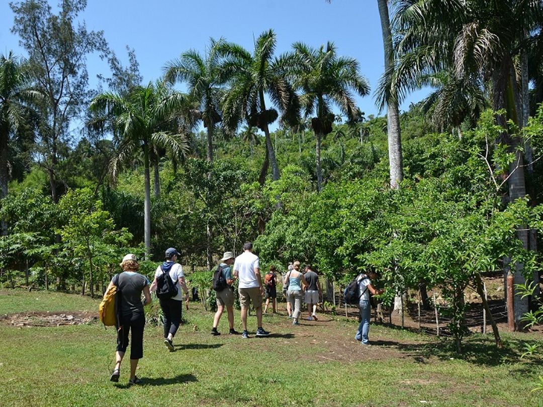 Panoramic View, "Sendero el contento" tour, Las Terrazas.