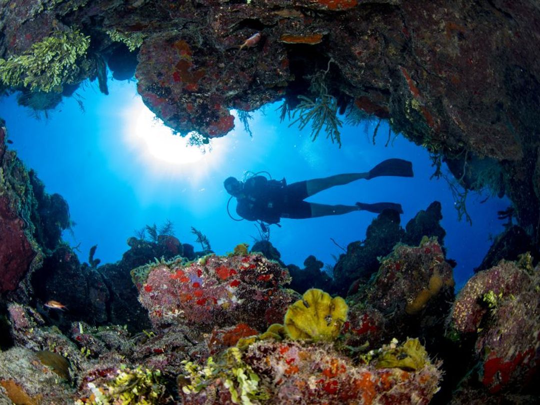 “Scuba Diving Tour in Cayo Largo del Sur”