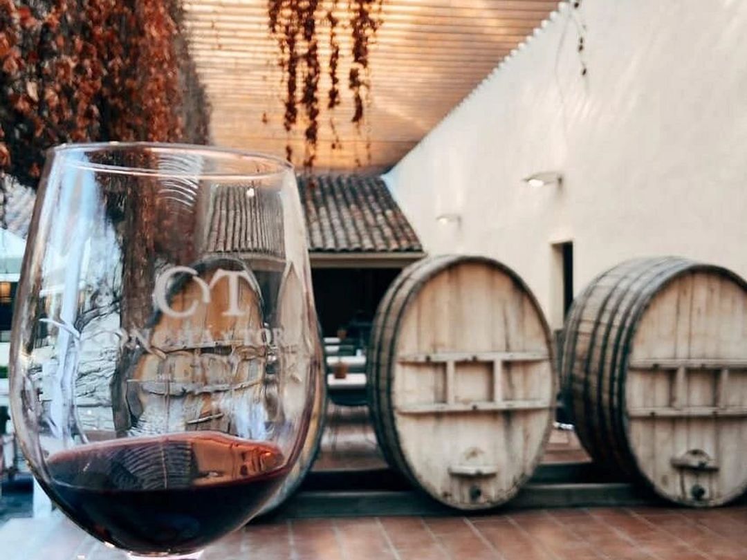 “CONCHA & TORO WINERY” Tour, Chile.