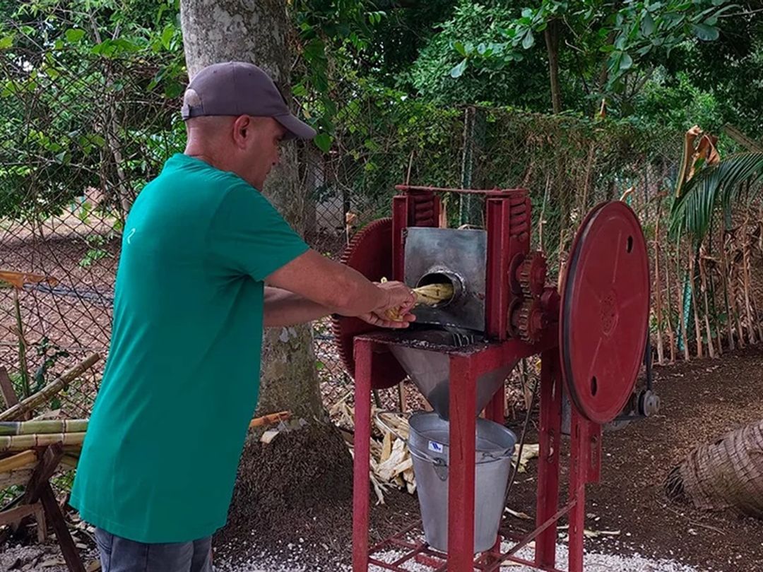 La María farm, Jardines del Rey, Morón, Ciego de Ávila, Cuba.