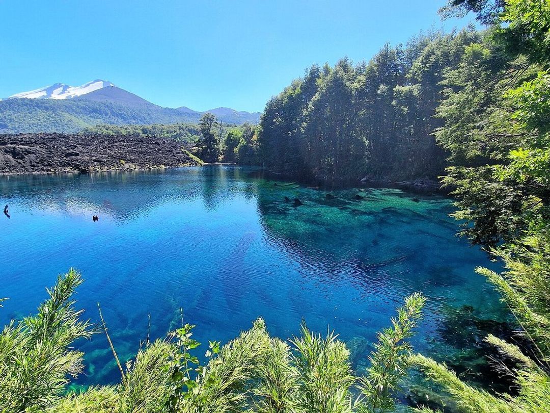 “HIKING HUERQUEHUE NATIONAL PARK" Tour