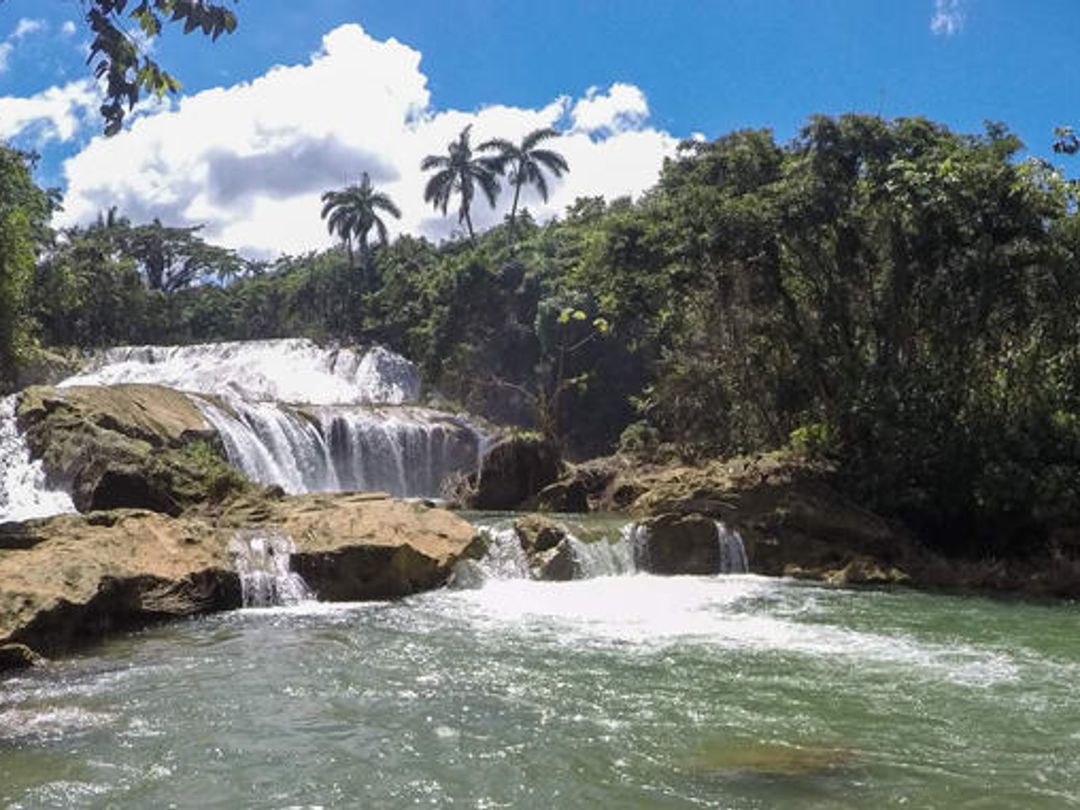 "Nature Tour Nicho-Trinidad in American Classic Car"