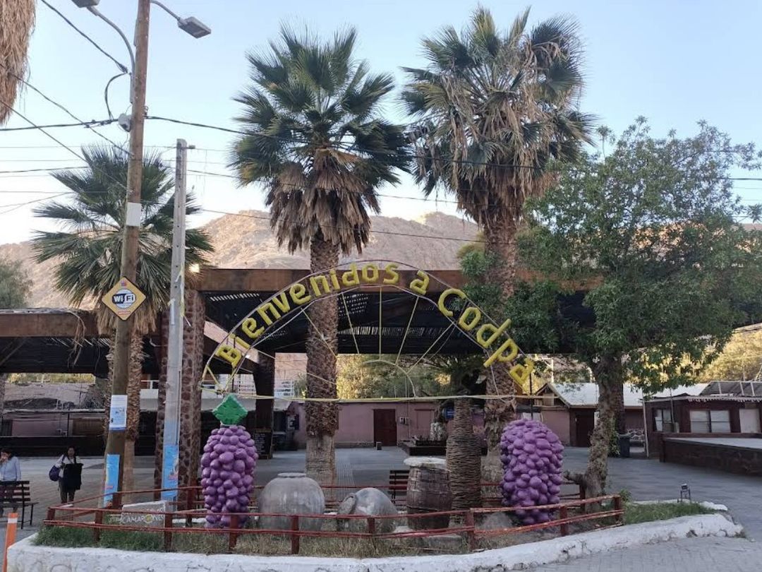 “OASIS OF CODPA AND PINTATANI" Tour 