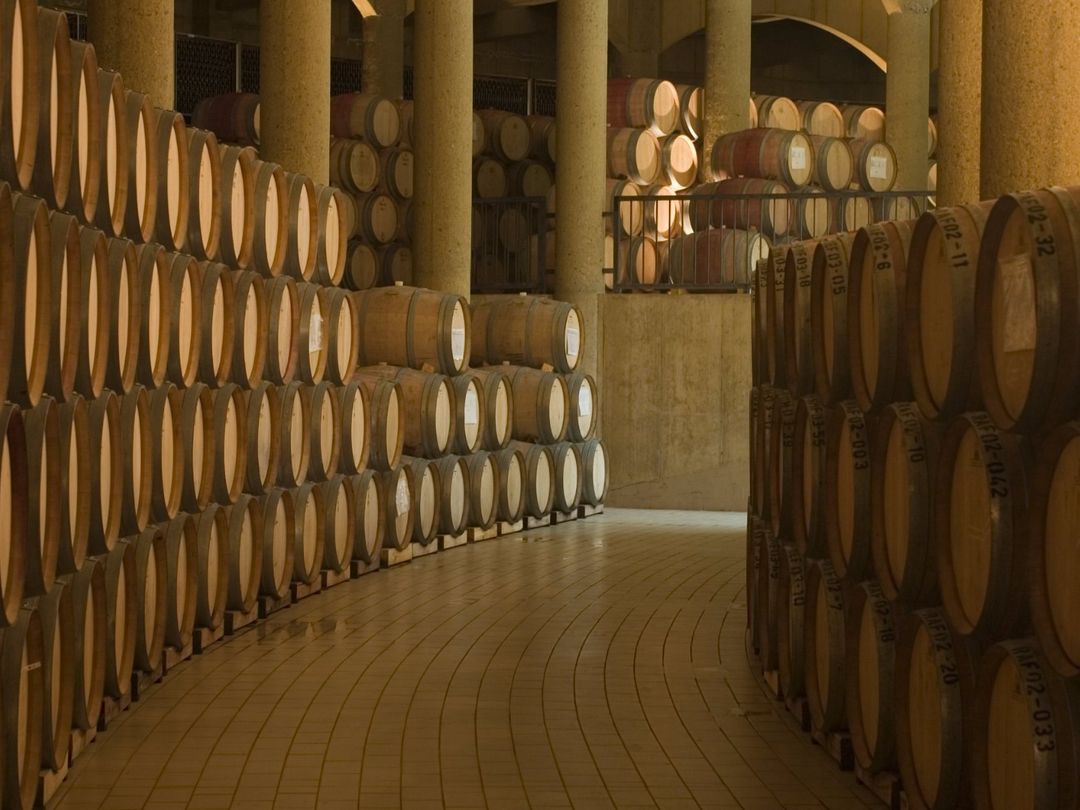 “HARAS DE PIRQUE WINERY” Tour, Chile.