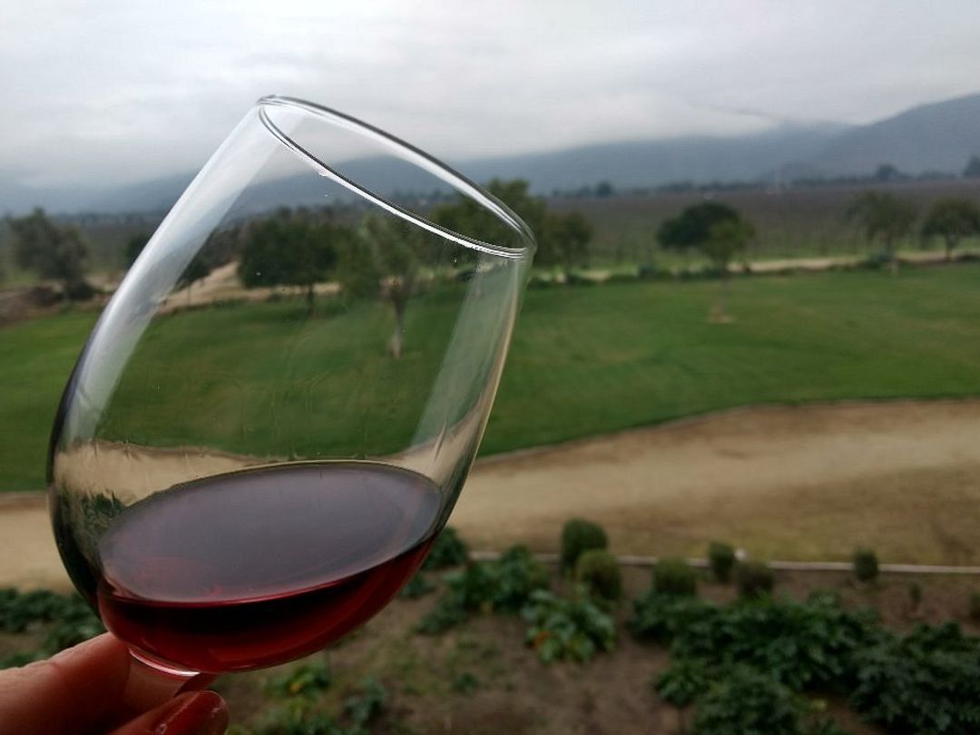 “CASABLANCA VALLEY WINE ROUTE” Tour, Chile.