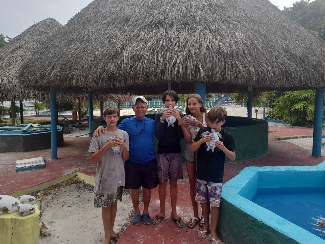"RELEASE OF TURTLE HATCHLINGS" Tour