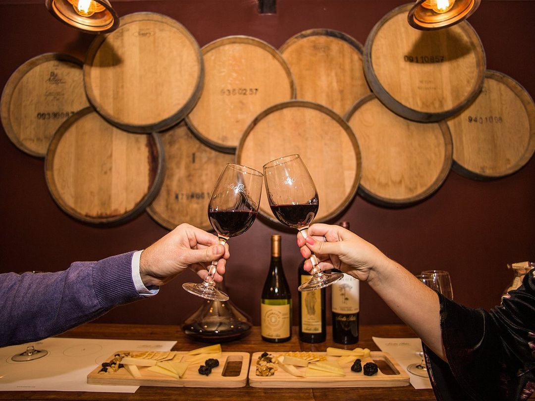 “SANTA RITA WINERY” Tour, Chile.