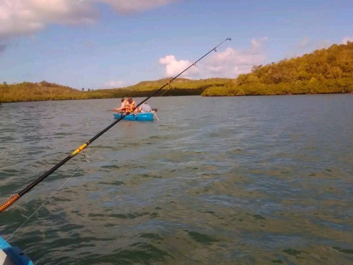 “BOTTOM FISHING IN BIOPARQUE ROCAZUL, BAHÍA DE NARANJO“ Tour. Departure ...