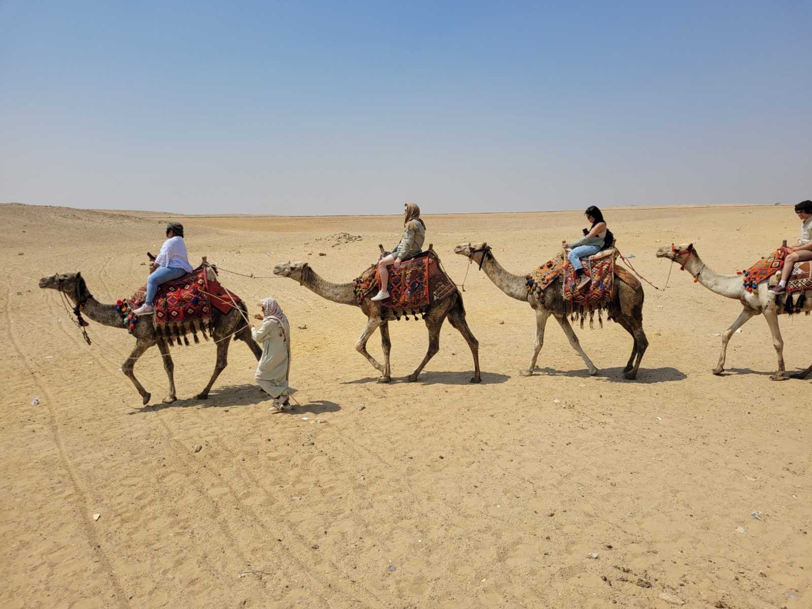Tour en groupe EGYPTE CLASSIQUE (7 JOURS).