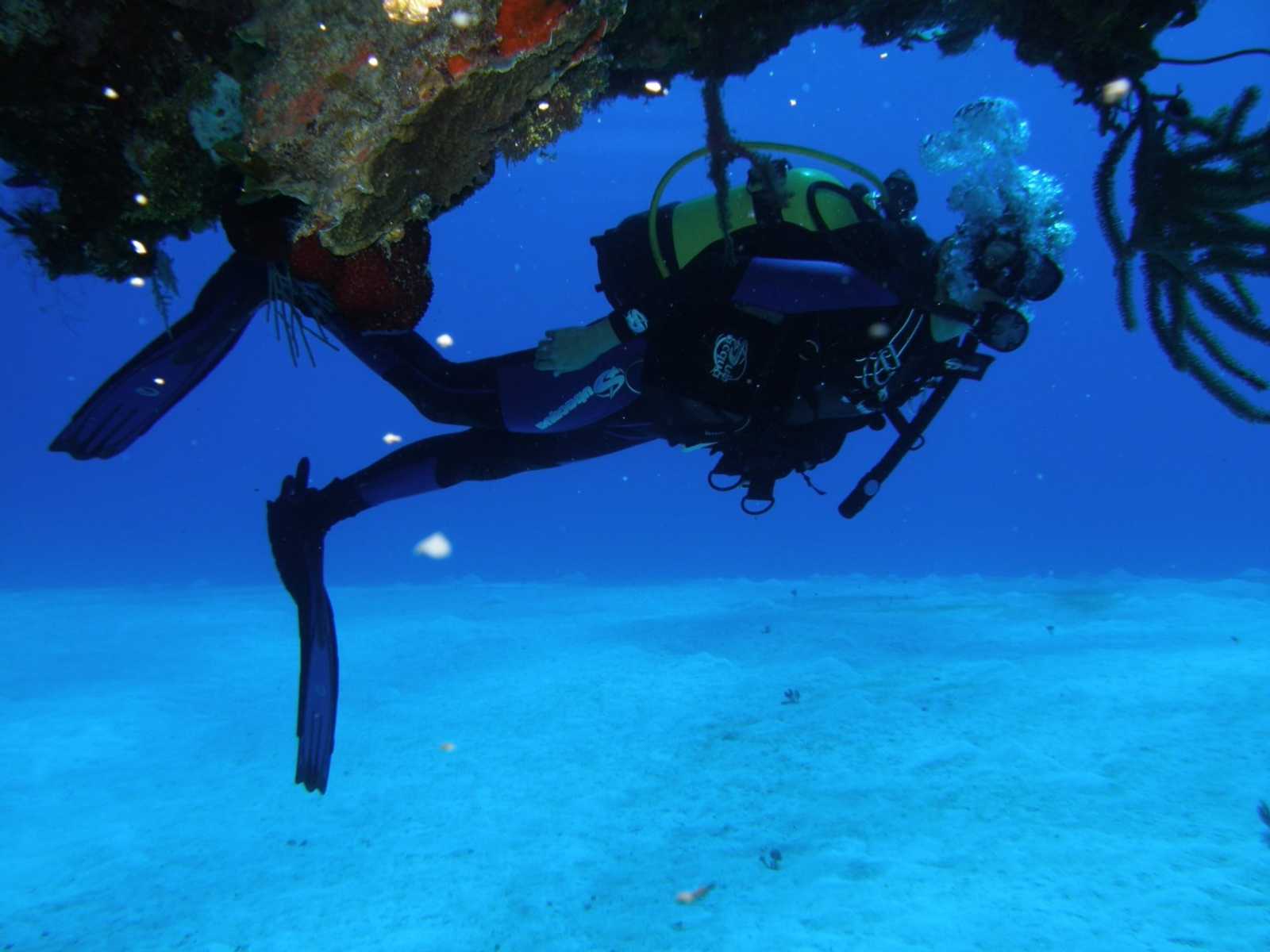 CUBA‘S UNDER WATER TREASURES Diving Tour