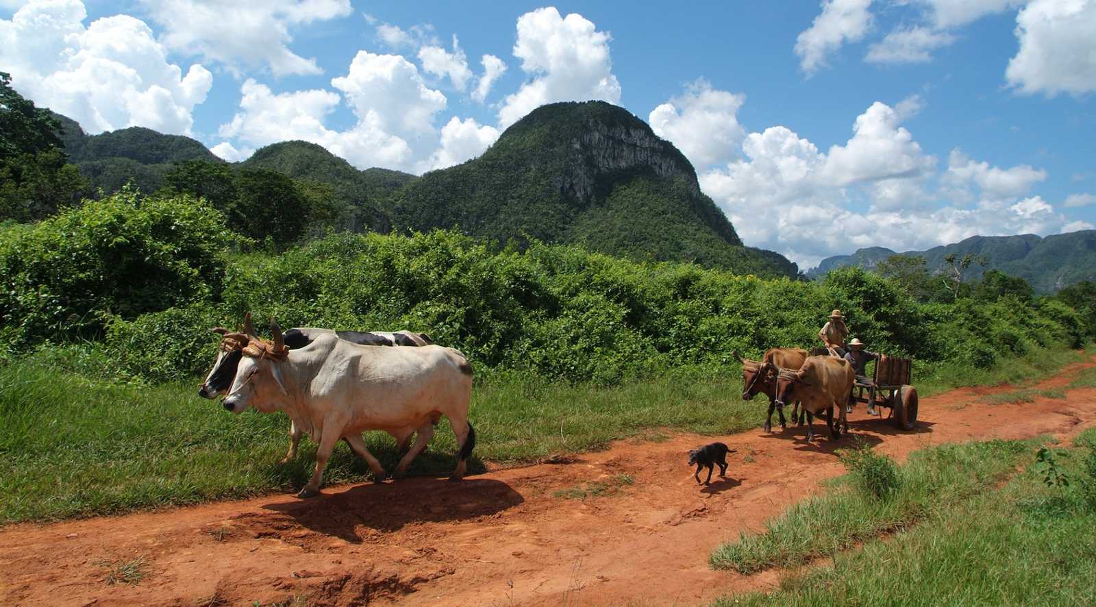Plantations at Viñales valley panoramic view, Pinar del Río