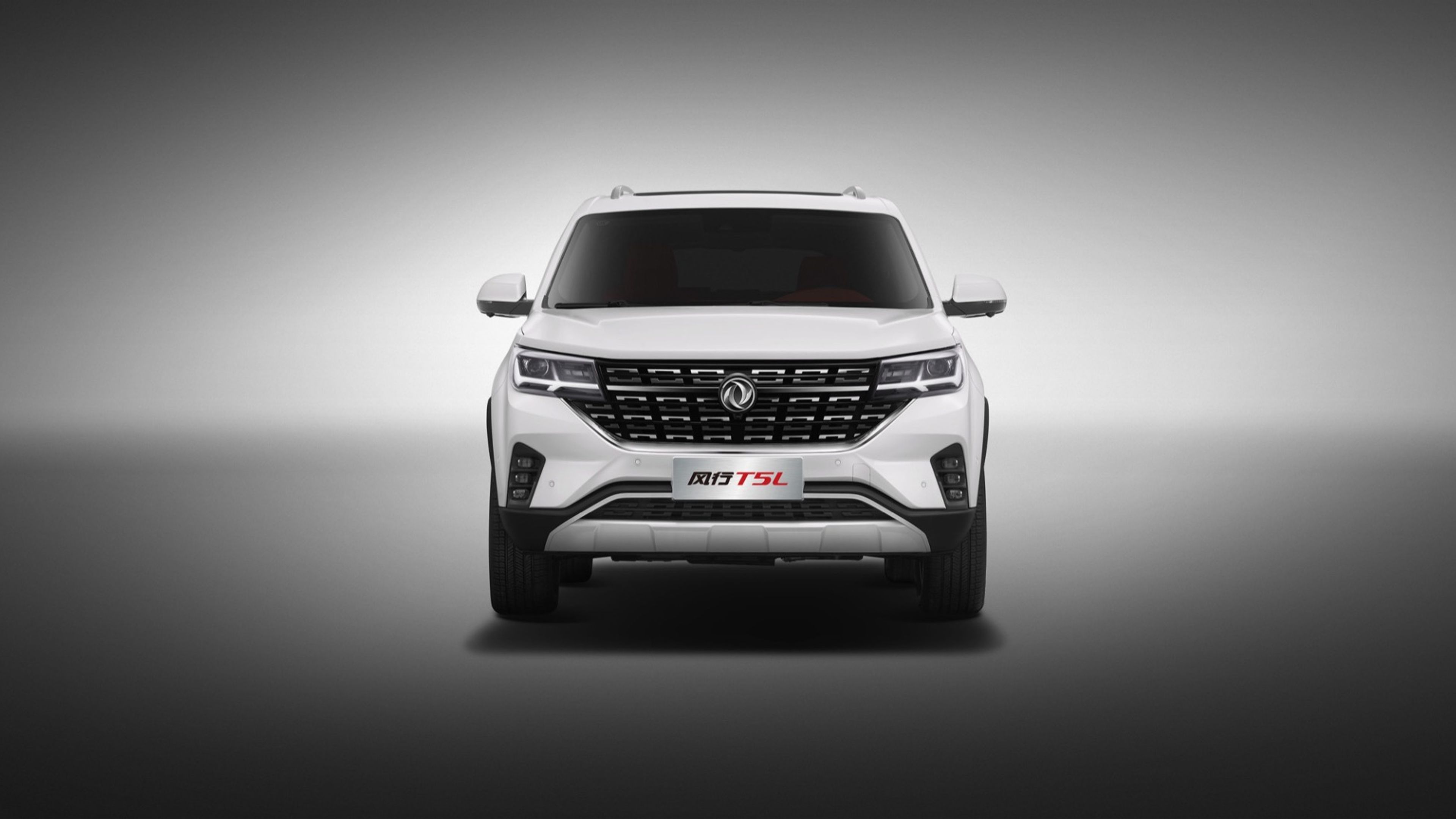 DONGFENG FORTHING T5L (OR - 001)