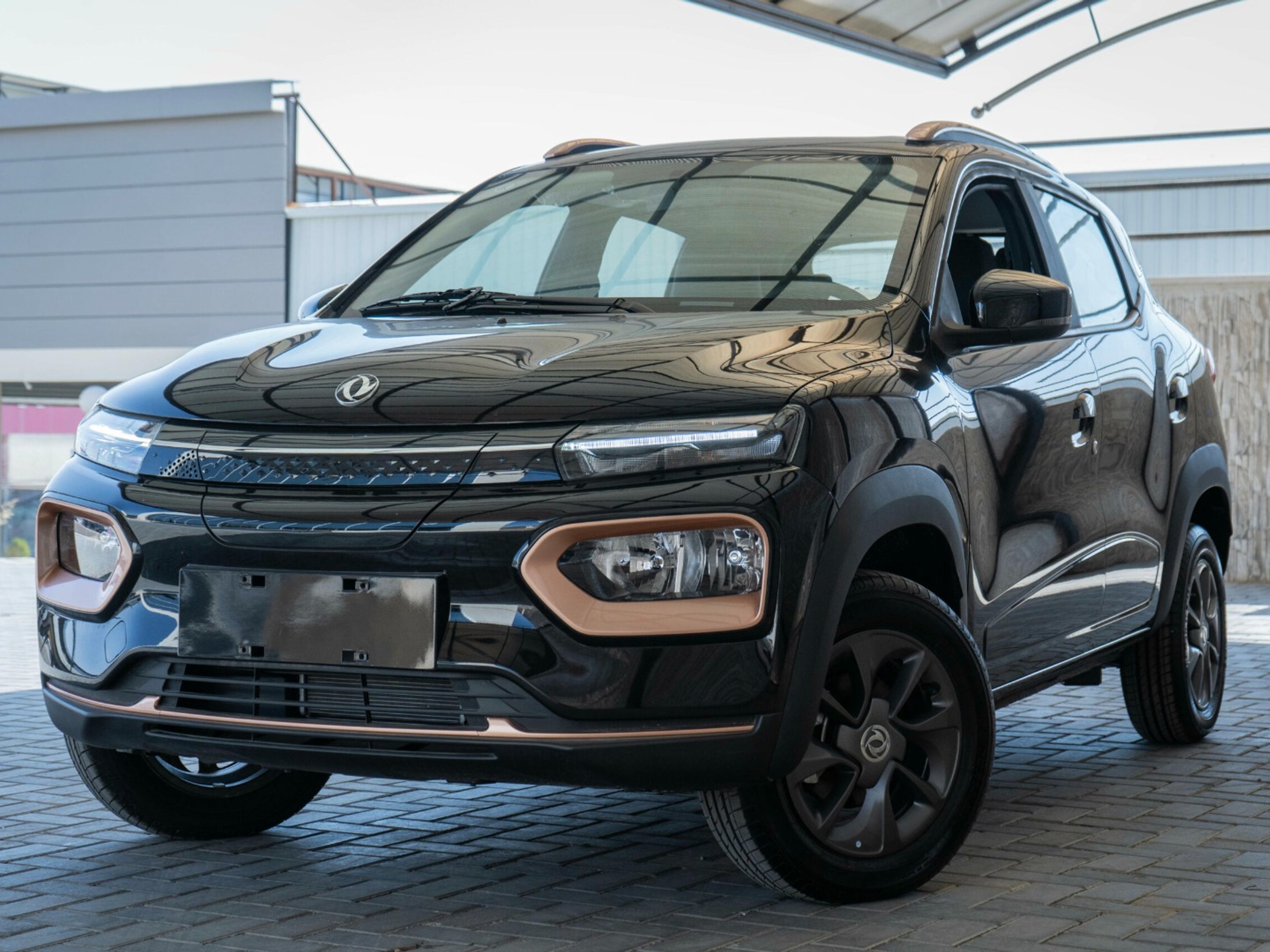 DONGFENG EX 1 (OR - 009)